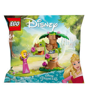Lego Aurora's Forest Playground 30671